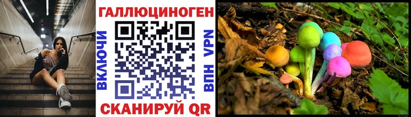 Купить Нарткала Псилоцибиновые грибы Cubensis